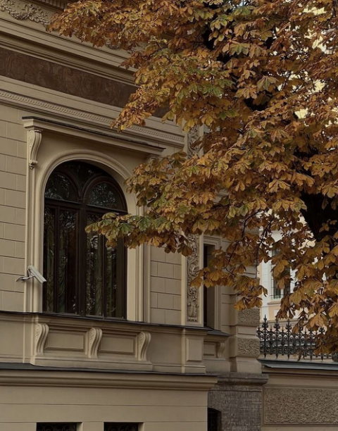 Zlatnosmeđi kesten ispred raskošne kamene fasade sa visokim lučnim prozorom
