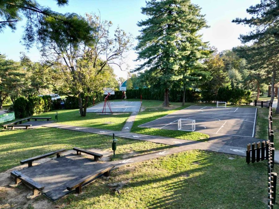 Outdoor playgrounds and a sports court under tall pines
